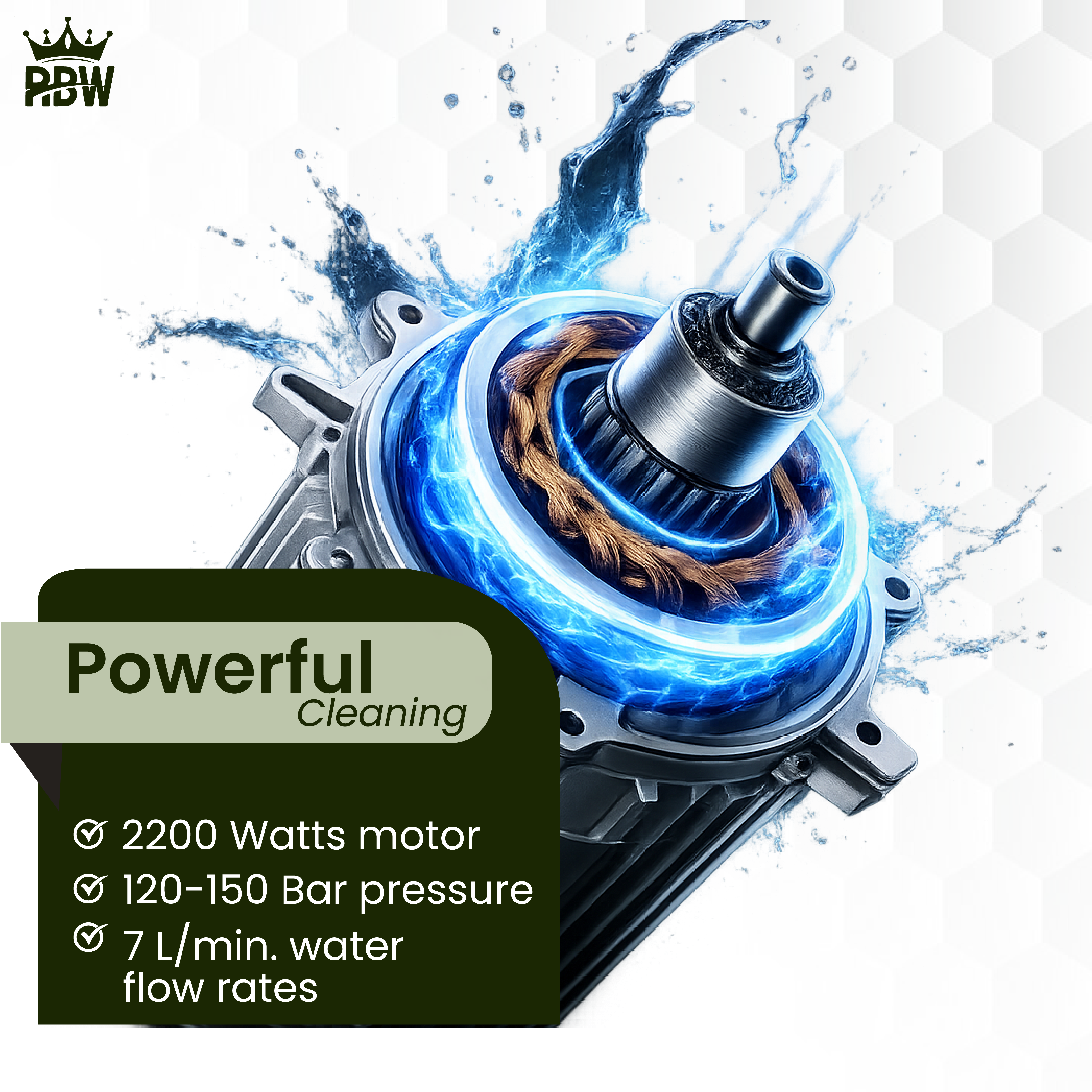 P-350 Pressure Washer